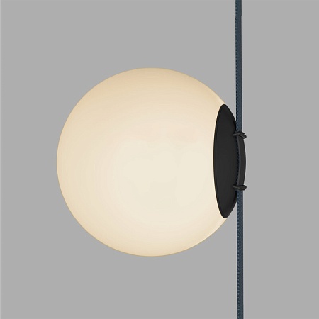 Светильник на шине Denkirs BELTY ORB DK5553-BK - фото