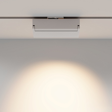 Трековый светильник Technical TR224-1-12WCCT-M-W - фото