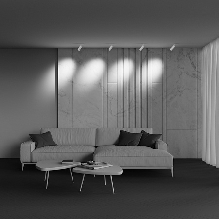 Трековый светильник Technical TR212-4-12WTW-Z-DSZ-W - фото