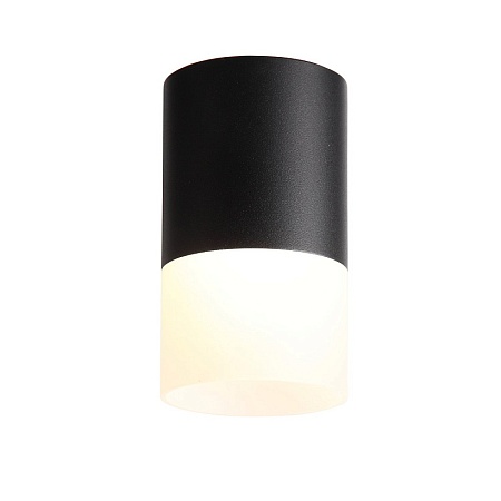 Светильник потолочный Черный LED 1*10W 3000K 780Lm Ra>80 120° D78xH135 170-240VV ST100.402.10 - фото