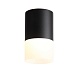Светильник потолочный Черный LED 1*10W 3000K 780Lm Ra>80 120° D78xH135 170-240VV ST100.402.10 - фото