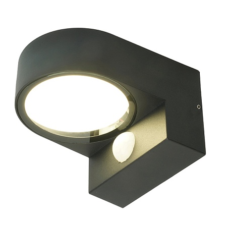 Светильник садово-парковый Feron DH1202, с датчиком освещенности/движения (на стену), GX53 - фото