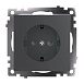 Розетка 1-местная с защитной шторкой с/з (механизм), 250В, 16А, серия Катрин, графит, GLS16-7110-06 - фото