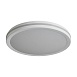 Потолочный светильник Freya FR6160CL-L40W - фото