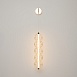 Настенный светильник (бра) Maytoni Golden Cage MOD216WL-L10G3K - фото