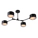 Светильник потолочный Черный/Черный E14 4*60W SLE183402-04 - фото