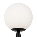 Настольный светильник Freya Glow FR5289TL-01B - фото