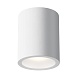 Потолочный светильник Technical Conik gyps C001CW-01W-1 - фото
