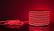 Светодиодный гибкий неон 220 В 9.6 Вт/м 120 Led/м 2835 IP67, односторонний красный, 50 м Гибкий неон 220V 9,6W 120Led 2835 IP67 односторонний красный, 50м Elektrostandard - фото