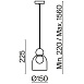 Подвесной светильник Freya Focus FR5220PL-01CH2 - фото