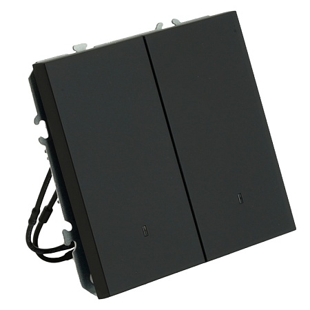 Выключатель 2-клавишный c индикатором (механизм), STEKKER, 250В, 10А, серия Эмили, RSW10-5102-05, черный уголь, soft touch - фото