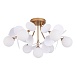 Потолочная люстра Arte Lamp PEACOCK A1369PL-7SG - фото