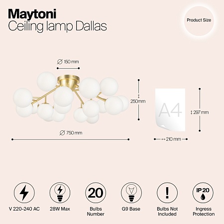 Потолочный светильник Maytoni Dallas MOD545CL-20BS - фото