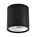 Светильник потолочный Черный LED 1*12W 4000K 840Lm Ra>90 36° IP44 D80xH85 85-265V ST165.442.12 - фото