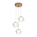 Подвесной светильник Freya FR6242PL-L24BS - фото