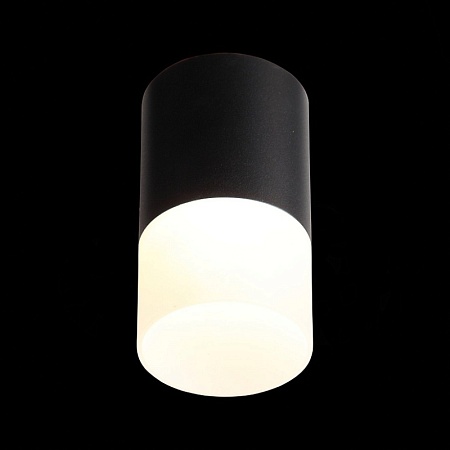 Светильник потолочный Черный LED 1*10W 3000K 780Lm Ra>80 120° D78xH135 170-240VV ST100.402.10 - фото