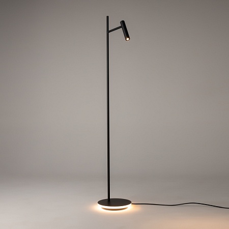 Напольный светильник (торшер) Maytoni Estudo Z010FL-L8B3K - фото