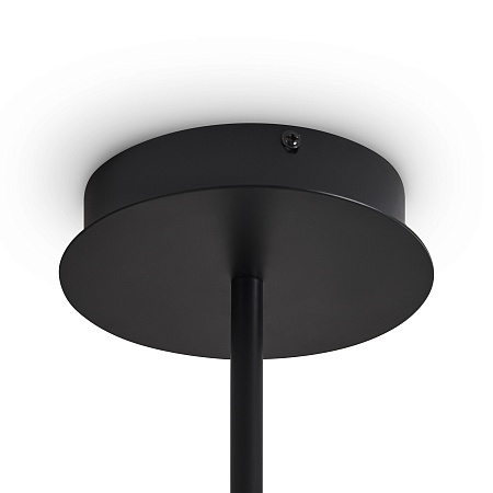 Потолочный светильник Freya FR5541CL-L30B - фото