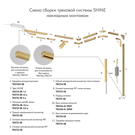 TR5739-SB Внешний блок питания для трека SHINE BASE, 150W, 48V DC, IP20, сатинированная латунь, алюминий - фото