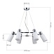 Светильник подвесной Хром/Белый E14 6*60W SLE1139-103-06 - фото