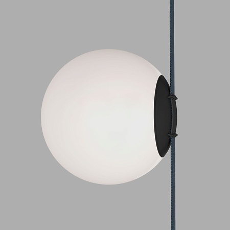 Светильник на шине Denkirs BELTY ORB DK5552-BK - фото