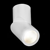 Светильник потолочный Белый LED 1*10W 4000K 800Lm Ra&gt;90 38° IP44 D62xH151 165-265V ST650.542.10