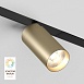 Светильник на шине Denkirs SMART SPOT DK8020-BG - фото