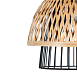 Подвесной светильник Arte Lamp WOODSTOCK A7070SP-1BK - фото