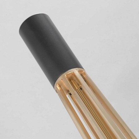 Торшер Lussole Talladega LSP-0596 - фото