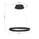 Светильник подвесной ST-Luce черный/черный LED 1*25W 4000K SL6238.423.01 - фото