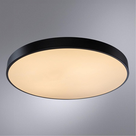 Потолочный светильник Arte Lamp ARENA A2673PL-1BK - фото