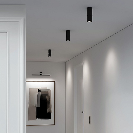 Светильник потолочный светодиодный 12W 4000К чёрный 25048/LED Elektrostandard - фото