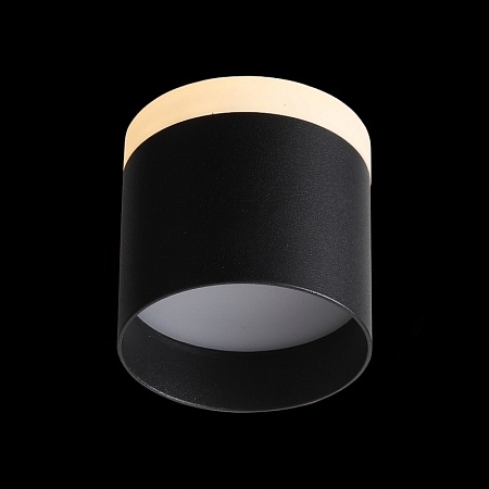 Светильник потолочный Черный LED 1*12W 3000K 936Lm Ra>80 120° IP20 D100xH90 170-240V ST102.402.12 - фото