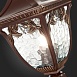 Светильник уличный наземный ST-Luce Кофейный/Кофейный, Прозрачный E27 1*60W SL083.705.01 - фото