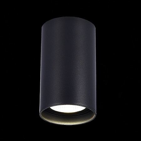 Светильник потолочный Черный LED 1*20W 4000K 1 600Lm Ra>90 60° IP44 D95xH150 220-265V ST157.442.20 - фото