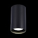 Светильник потолочный Черный LED 1*20W 4000K 1 600Lm Ra>90 60° IP44 D95xH150 220-265V ST157.442.20 - фото