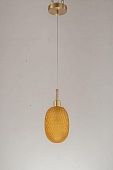 Светильник подвесной Arti Lampadari Magliano E 1.P2 Y