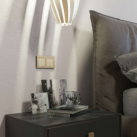 W4510011/ Сенсорный выключатель одноклавишный с подсветкой 1000 Вт (шампань) W4510011 - фото