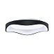 Потолочный светильник Arte Lamp ANKAA A3085PL-56BK - фото