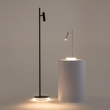 Напольный светильник (торшер) Maytoni Estudo Z010FL-L8B3K - фото