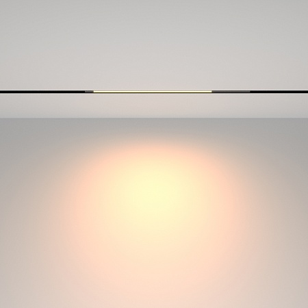 Трековый светильник Technical TR231-2-10W3K-B - фото