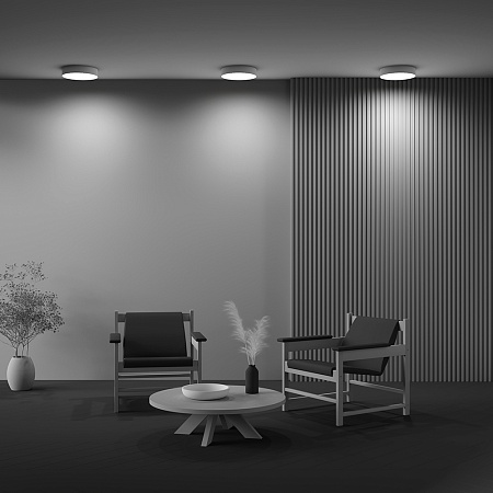 Потолочный светильник Technical Zon C032CL-36W4K-RD-W - фото