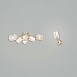 Потолочный светильник Freya Isabella FR5095CL-06G - фото