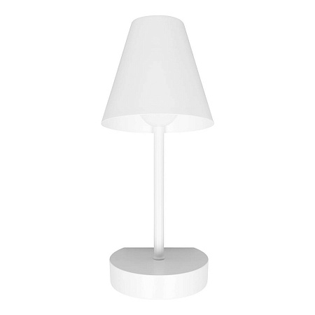 10216/1W White Настенный светильник LOFT IT Shelf - фото