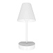 10216/1W White Настенный светильник LOFT IT Shelf - фото