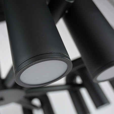 Подвесная Люстра Fanny 12 Black Imperiumloft 192008-23 - фото