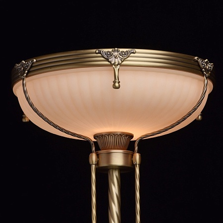 Торшер MW-Light Афродита 317040901 - фото