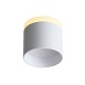 Светильник потолочный Белый LED 1*12W 3000K 936Lm Ra>80 120° IP20 D100xH90 170-240V ST102.502.12 - фото