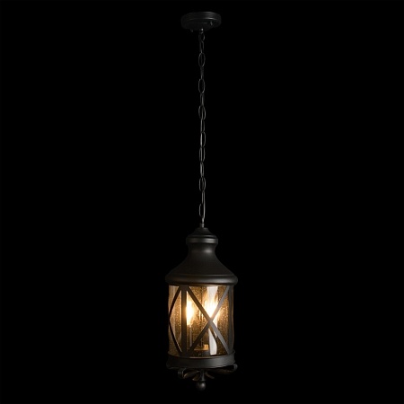 100020P Уличный подвесной светильник LOFT IT Ferrara - фото