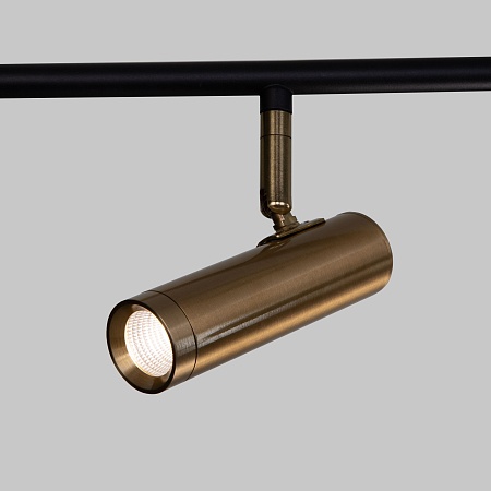 Потолочный светильник Eurosvet 20252/6 LED черный/латунь - фото